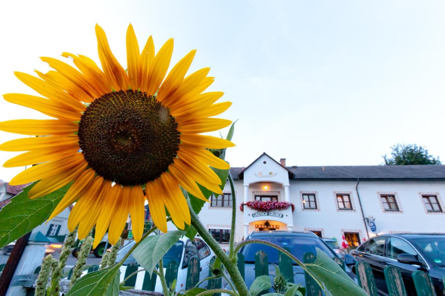 Gasthof Siegfried Gruber Hotell Hartmannsdorf Exteriör bild